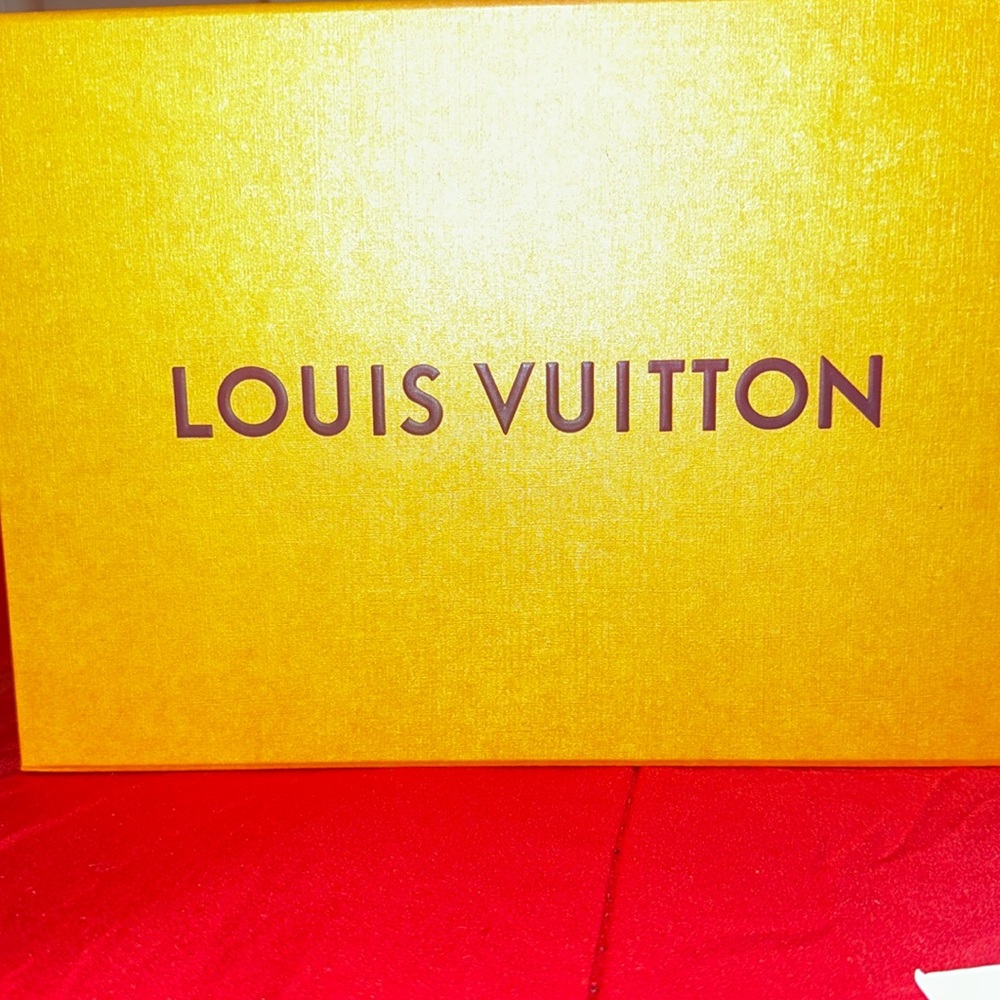 Louis Vuitton shoe or sandbox prestige condition